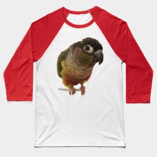 Green Cheek Conure Parrot Bird design, Love for birds Baseball T-Shirt